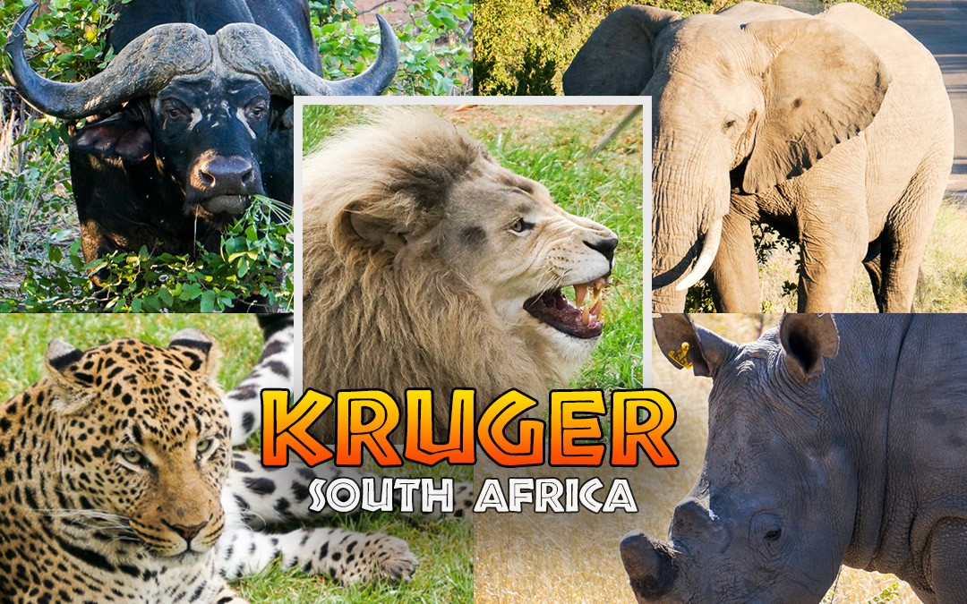 Kruger National Parks